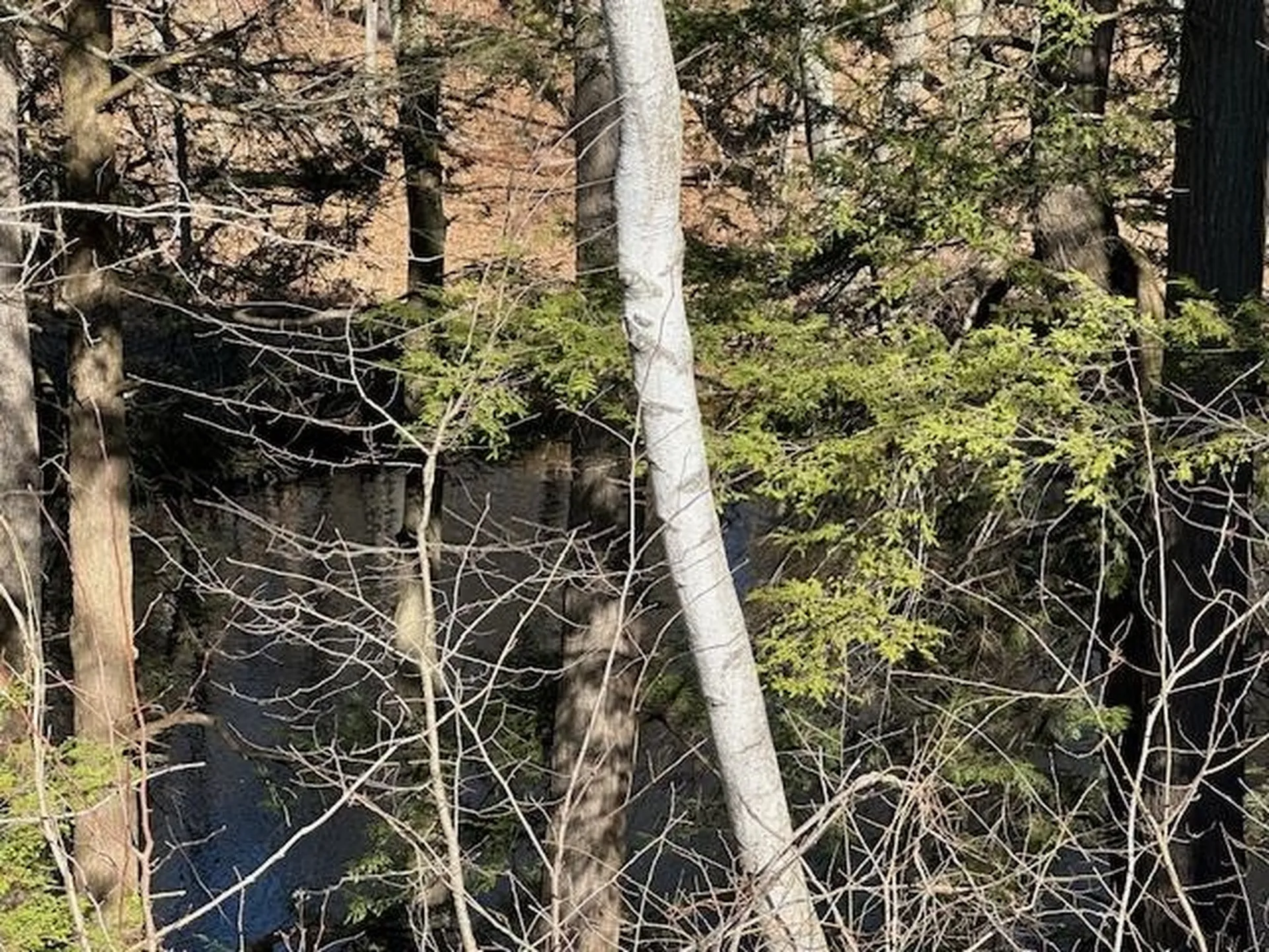 32 Ladds Lane Epping NH 03042