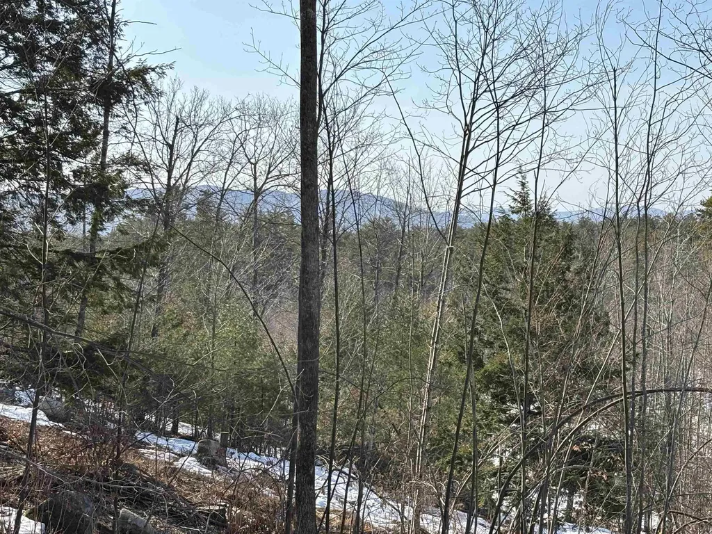Lot 2 Eaton Road Freedom NH 03836