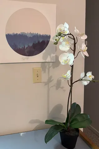 2C Seasons At Attitash Road Bartlett NH 03812