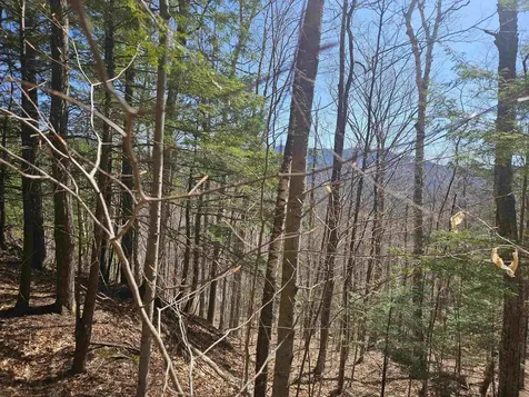 222-005 Woodwinds Drive Thornton NH 03285