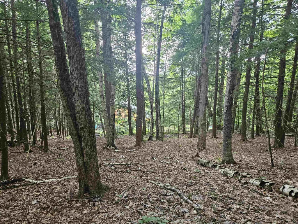 Map 132 Lot 115 Arrowhead Lane Gilmanton NH 03237