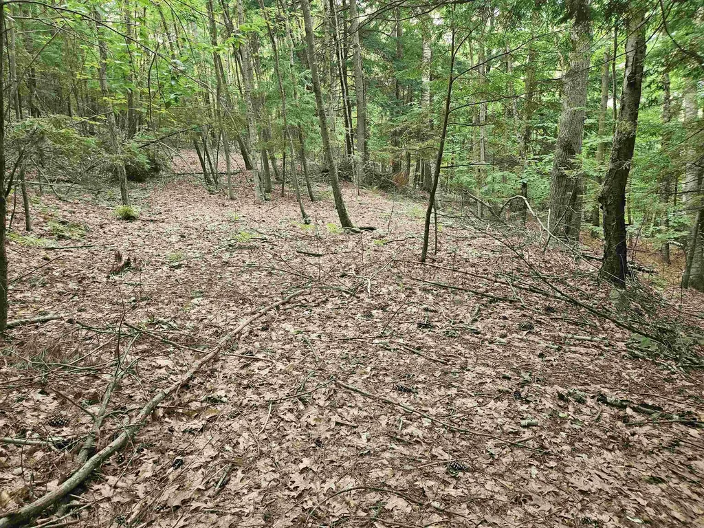 Map 132 Lot 115 Arrowhead Lane Gilmanton NH 03237