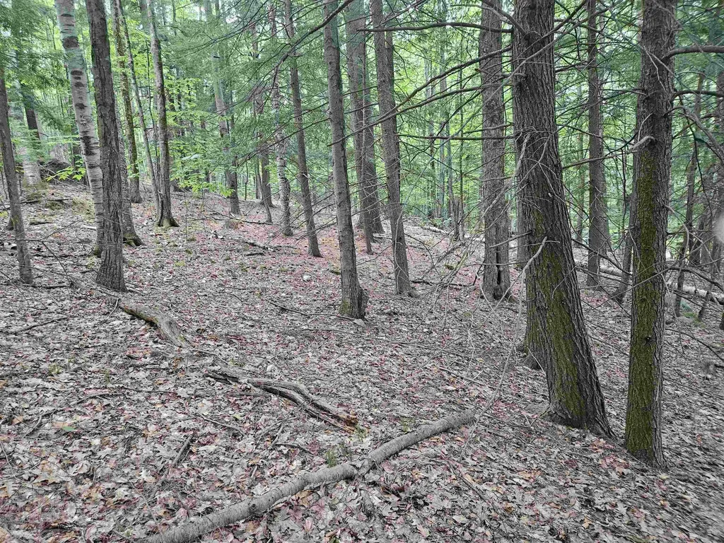 Map 132 Lot 115 Arrowhead Lane Gilmanton NH 03237