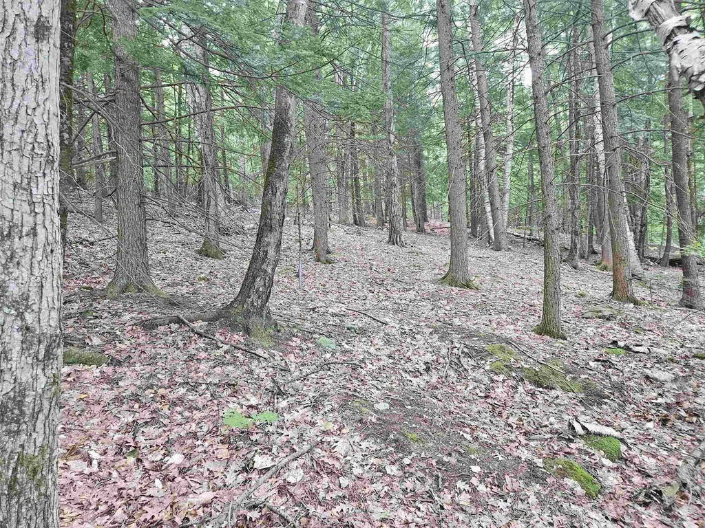 Map 132 Lot 115 Arrowhead Lane Gilmanton NH 03237