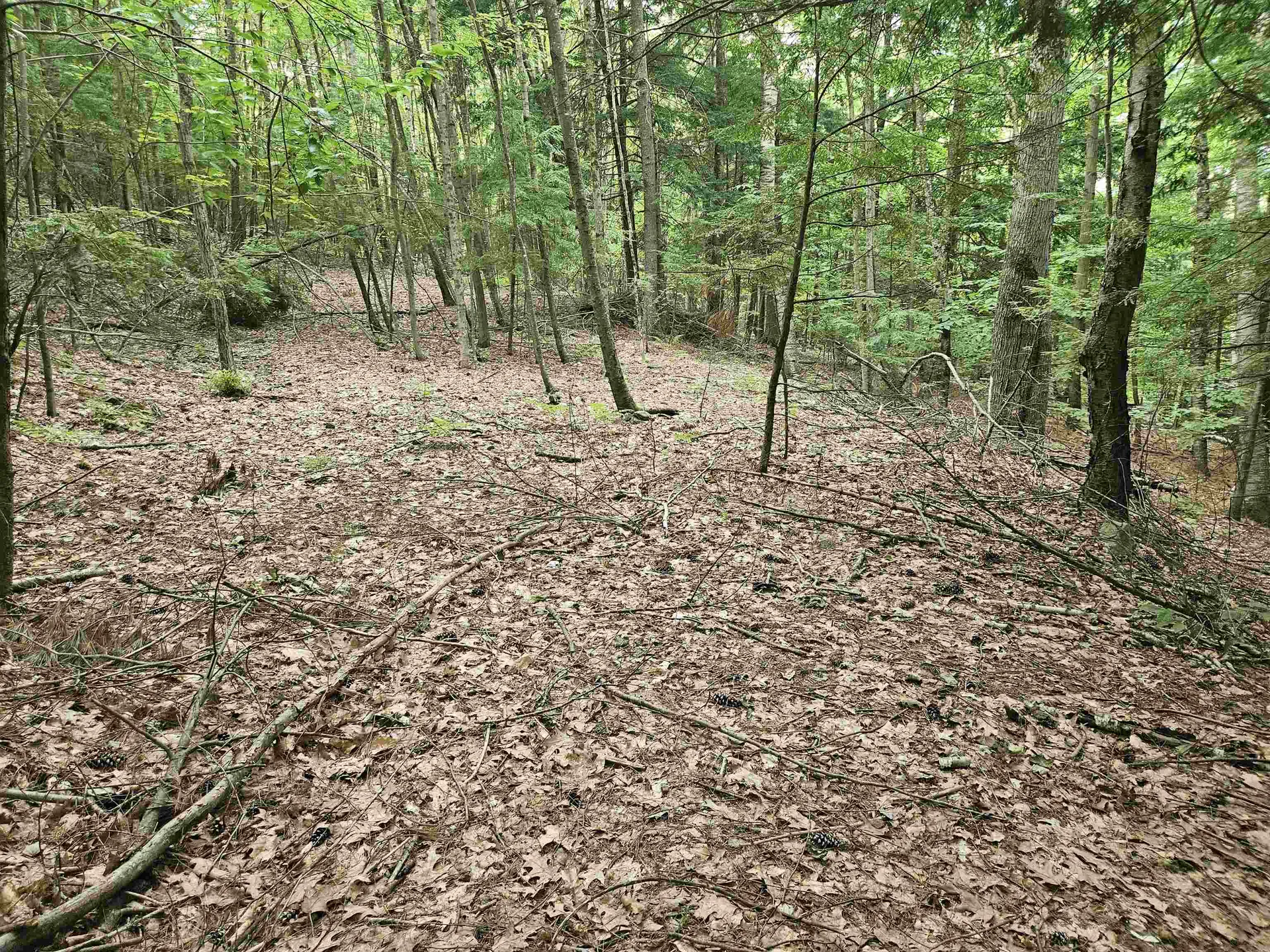 Map 132 Lot 115 Arrowhead Lane Gilmanton NH 03237