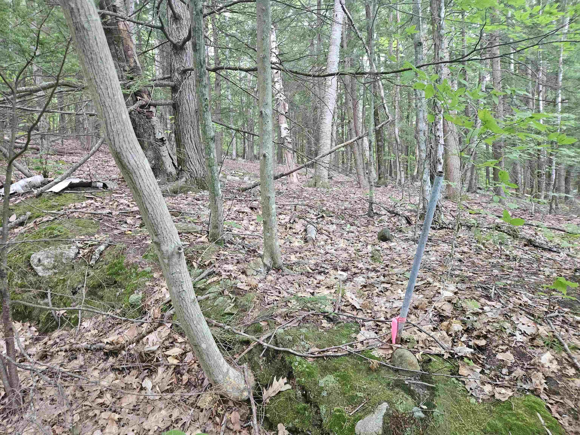 Map 132 Lot 115 Arrowhead Lane Gilmanton NH 03237