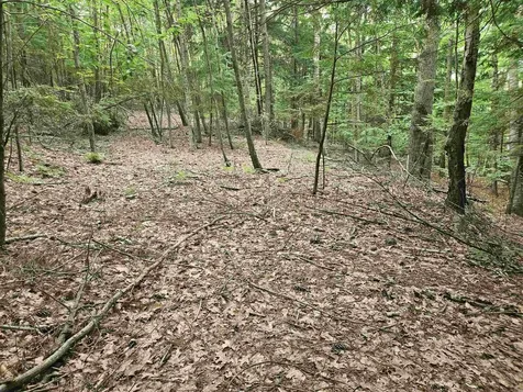 Map 132 Lot 115 Arrowhead Lane Gilmanton NH 03237