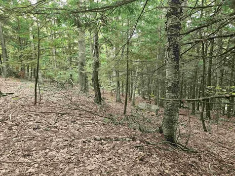 Map 132 Lot 115 Arrowhead Lane Gilmanton NH 03237