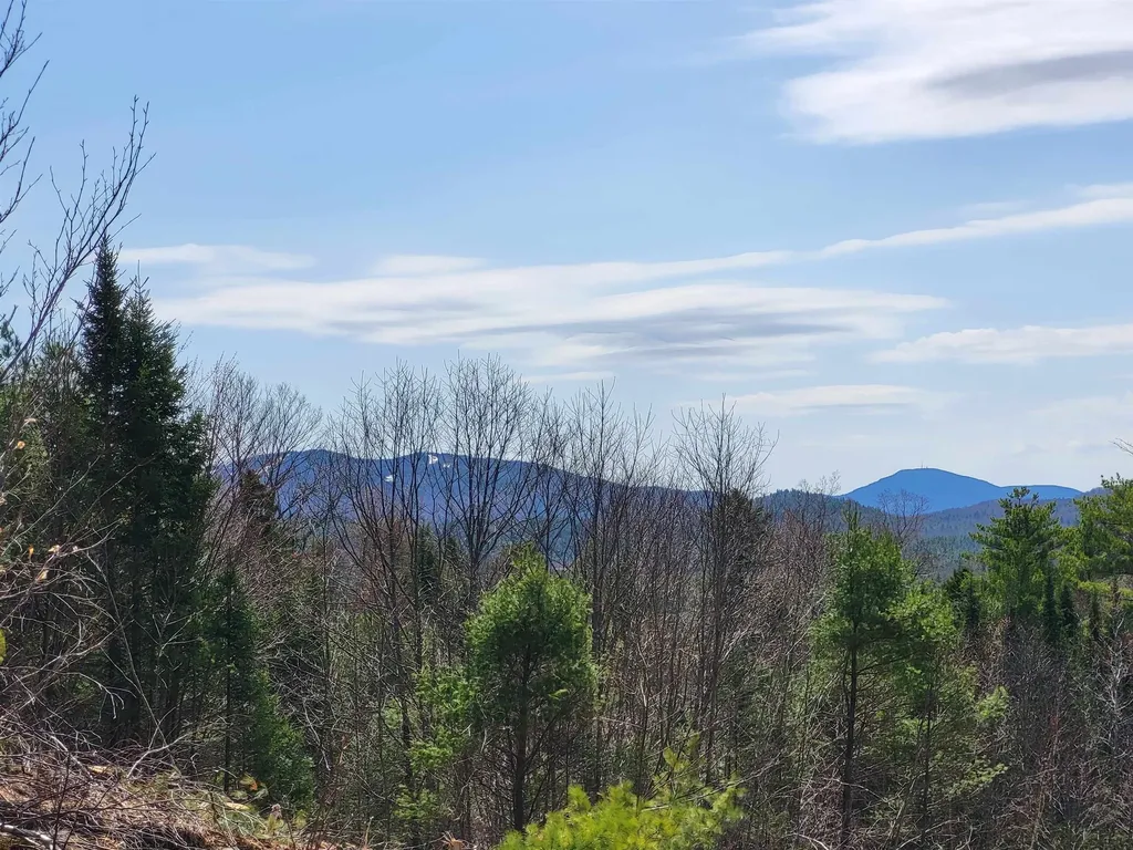 Map 406 Lot 169 Us Route 4 Danbury NH 03230