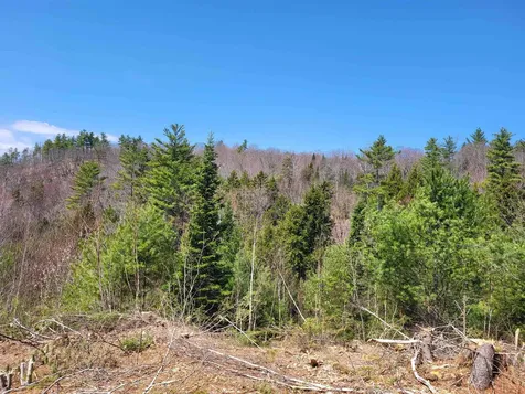 Map 406 Lot 169 Us Route 4 Danbury NH 03230