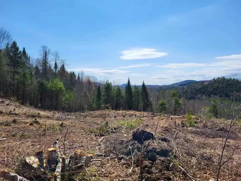 Map 406 Lot 169 Us Route 4 Danbury NH 03230