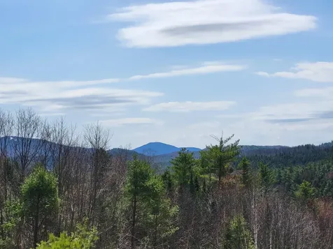 Map 406 Lot 169 Us Route 4 Danbury NH 03230