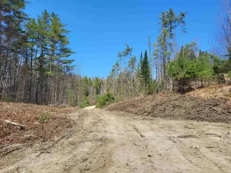 Map 406 Lot 169 Us Route 4 Danbury NH 03230