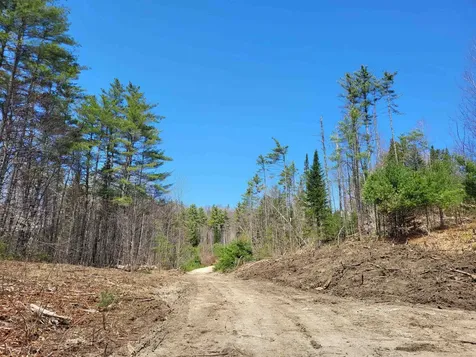 Map 406 Lot 169 Us Route 4 Danbury NH 03230
