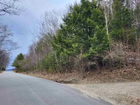 Map 406 Lot 169 Us Route 4 Danbury NH 03230