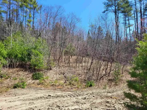 Map 406 Lot 169 Us Route 4 Danbury NH 03230