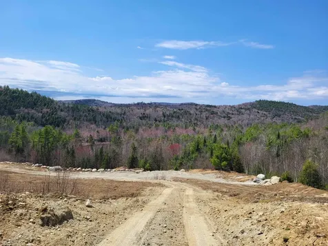 Map 406 Lot 169 Us Route 4 Danbury NH 03230