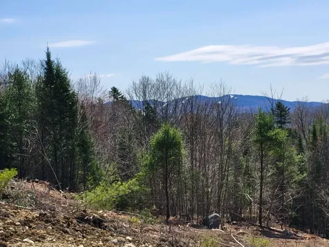 Map 406 Lot 169 Us Route 4 Danbury NH 03230
