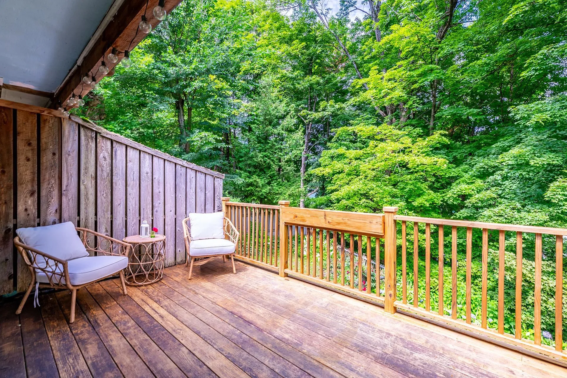 11a Prospect Street Woodstock VT 05091