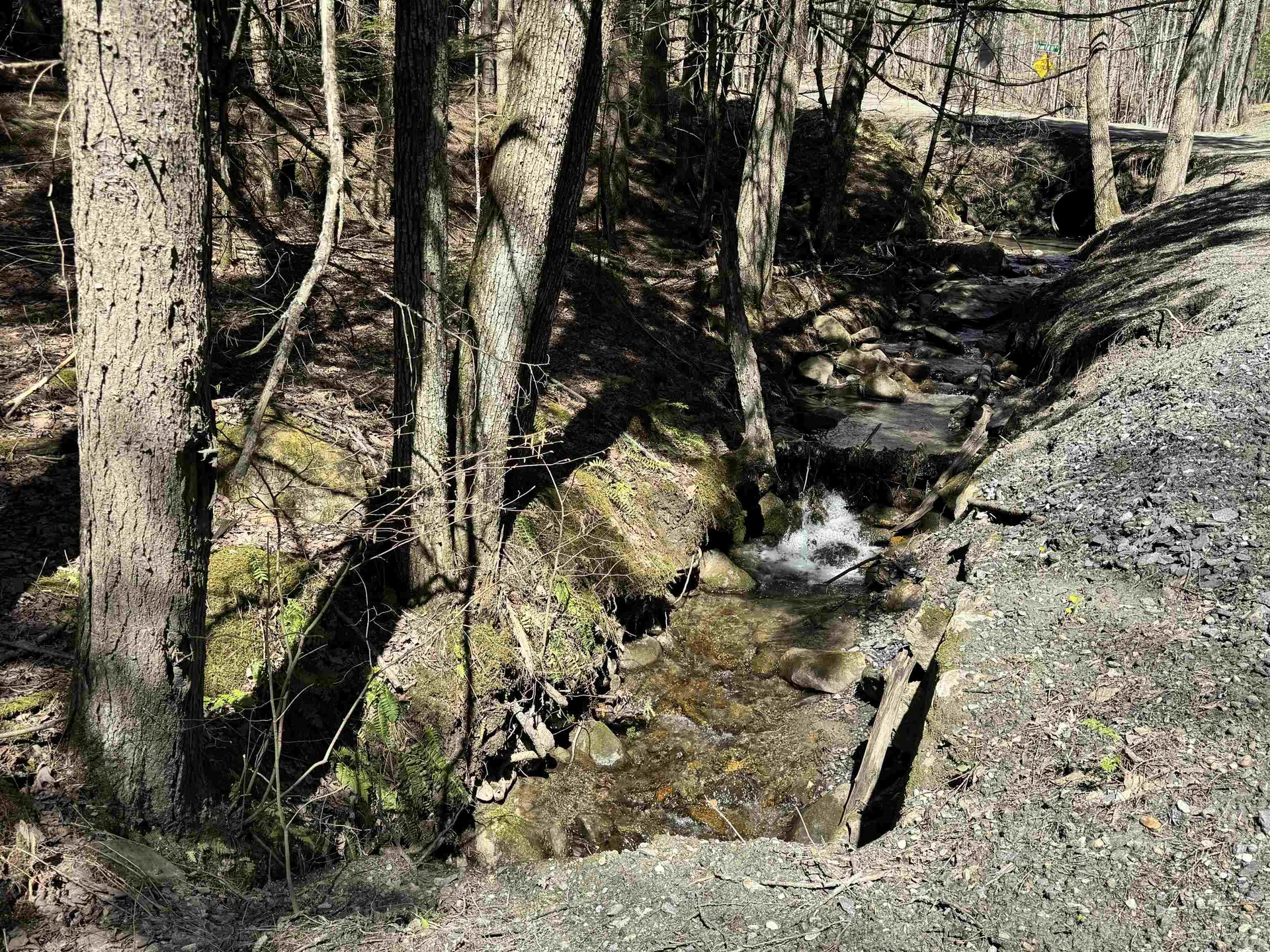 0 Braintree Hill Road Braintree VT 05060