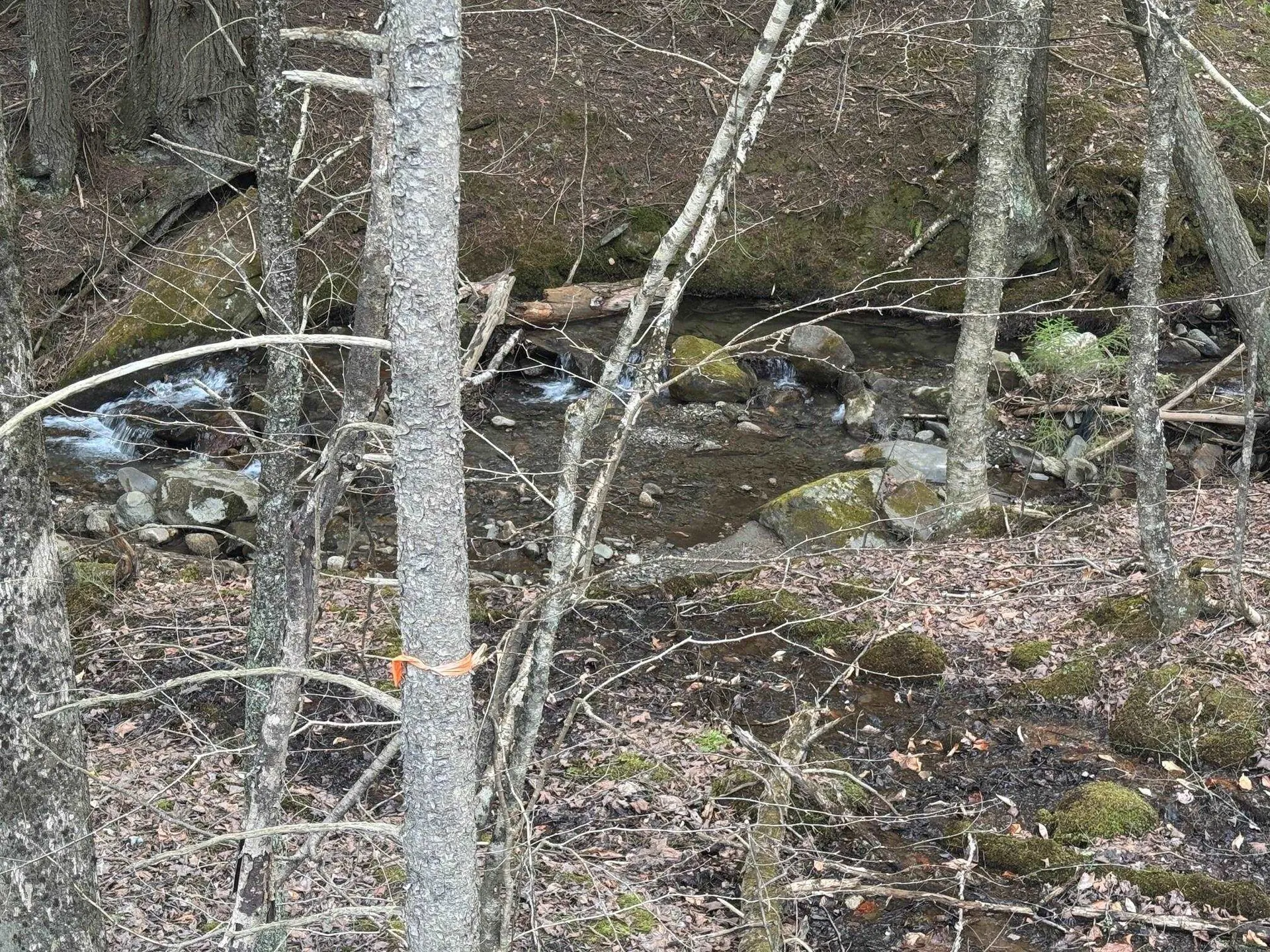 0 Braintree Hill Road Braintree VT 05060