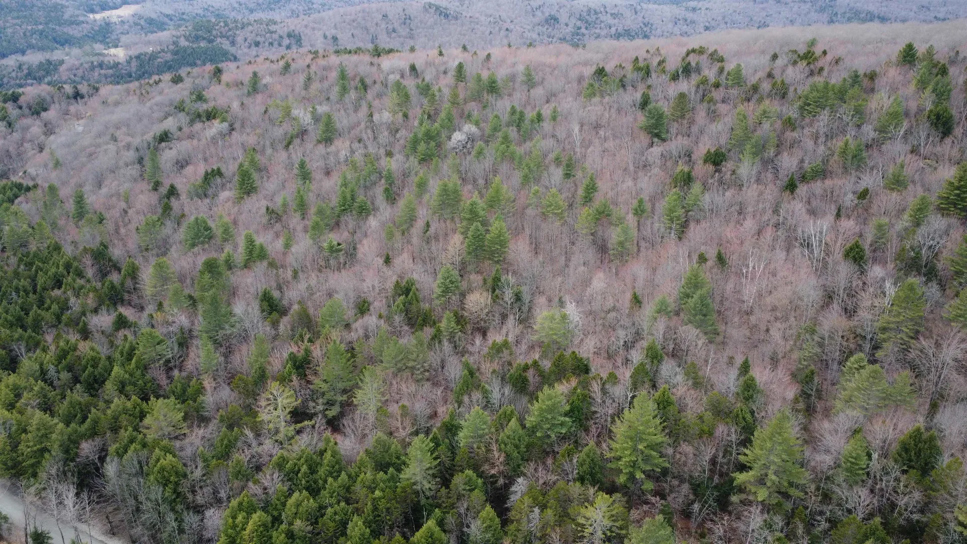 0 Braintree Hill Road Braintree VT 05060