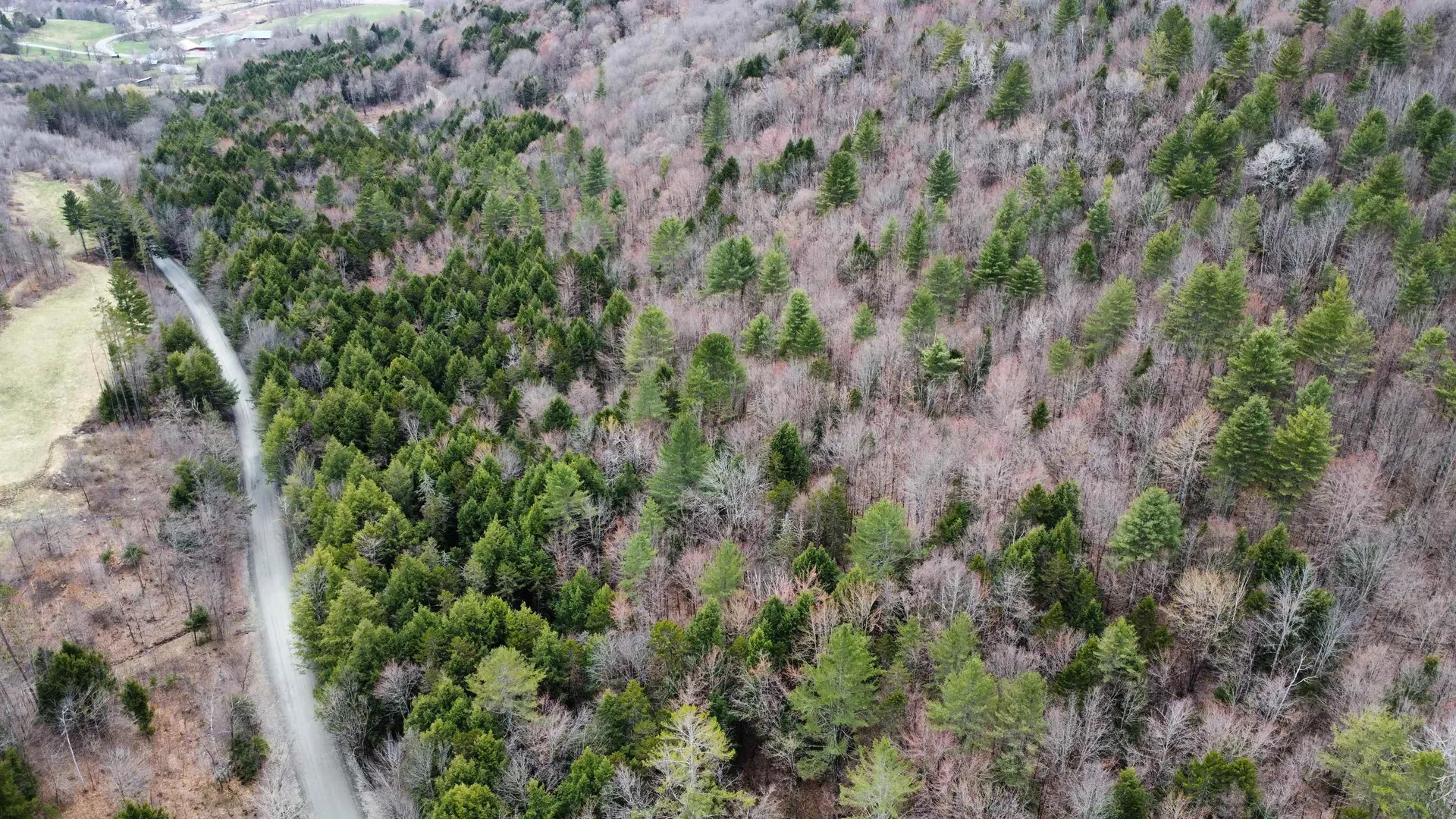 0 Braintree Hill Road Braintree VT 05060