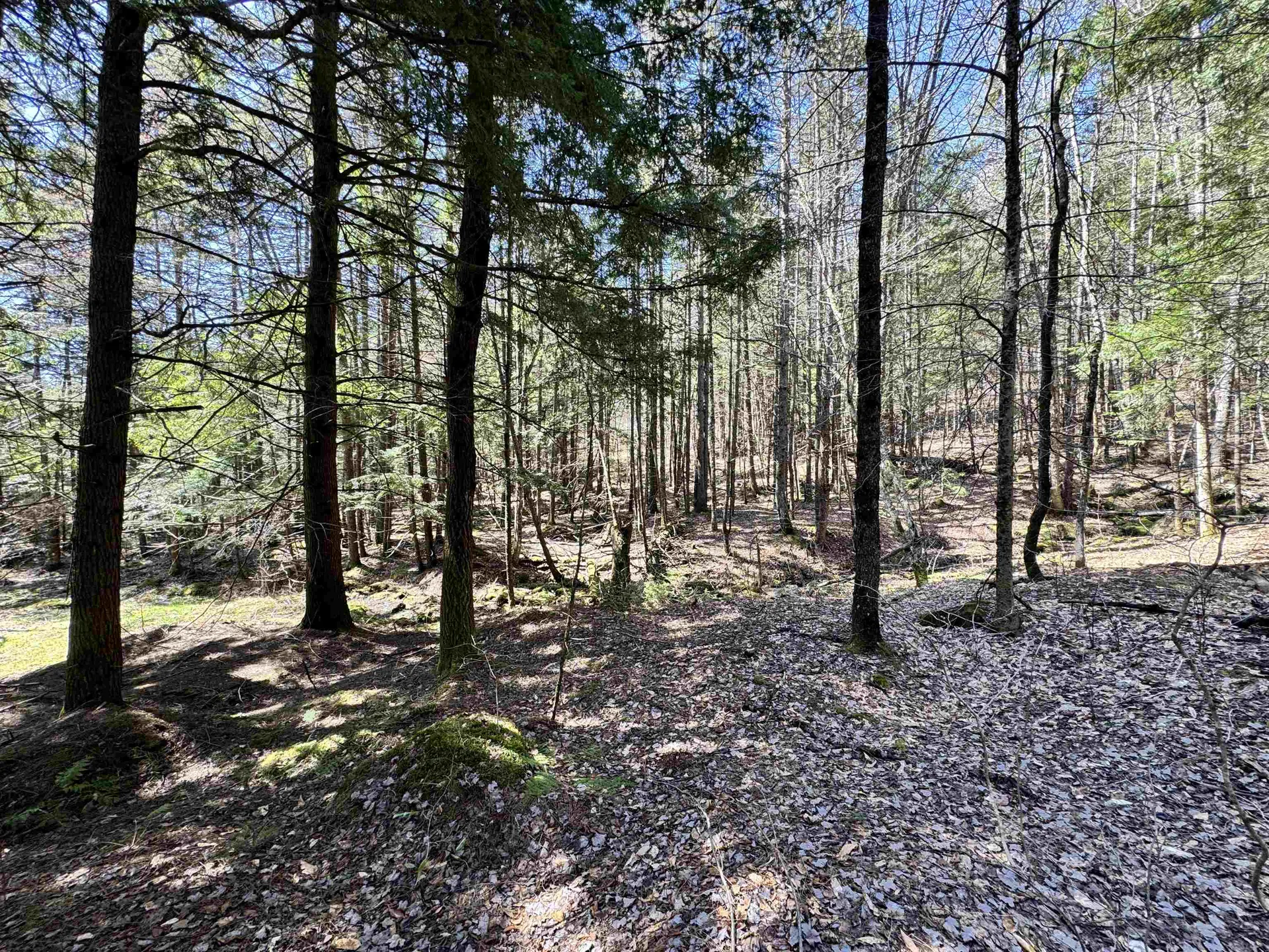 0 Braintree Hill Road Braintree VT 05060