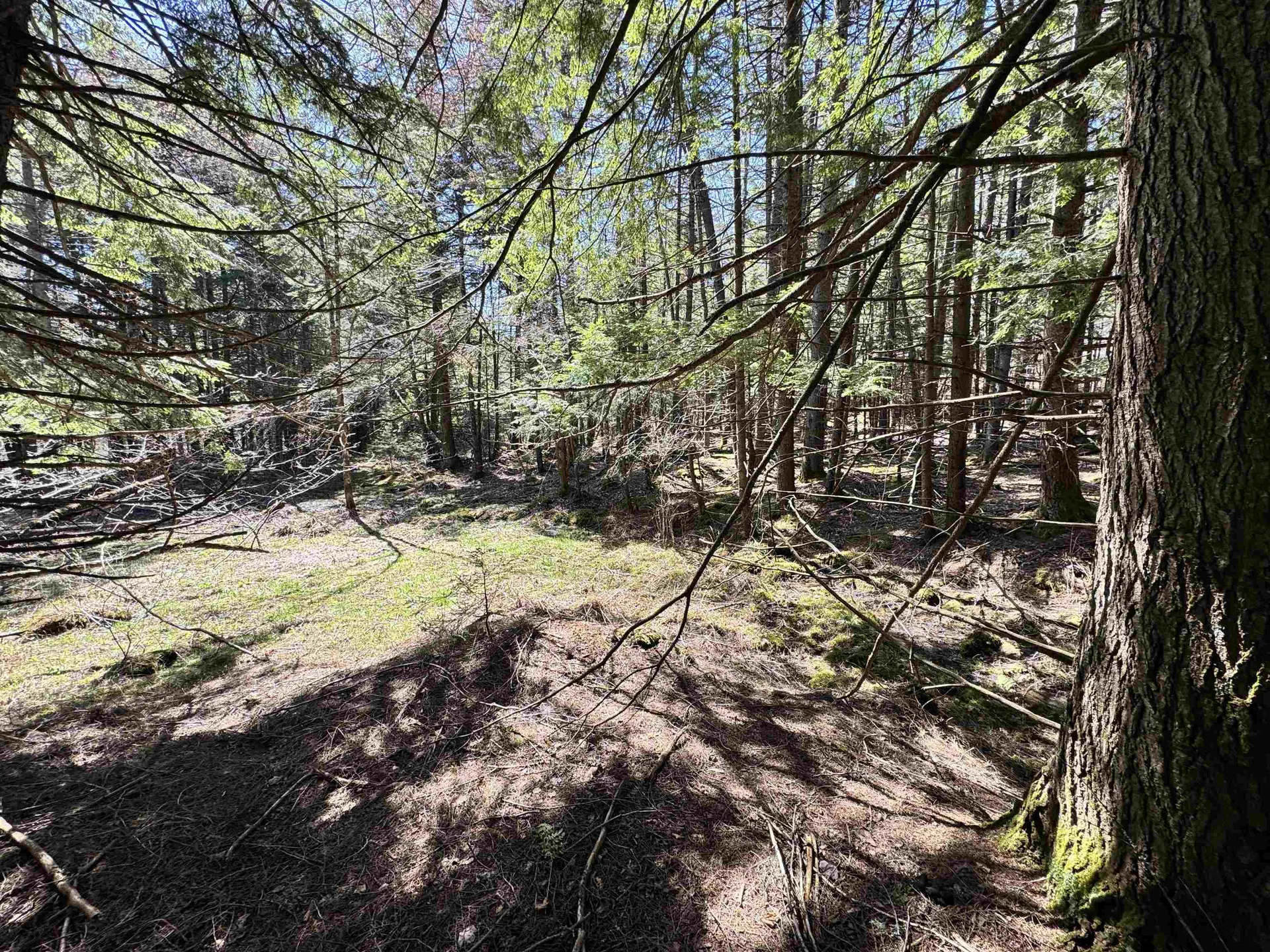 0 Braintree Hill Road Braintree VT 05060