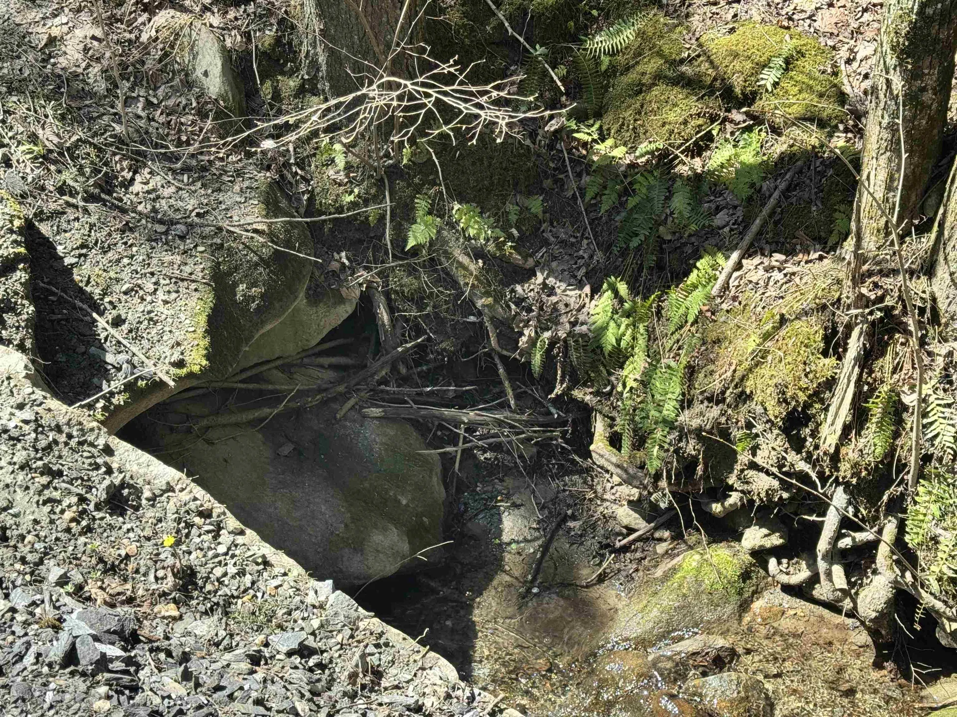 0 Braintree Hill Road Braintree VT 05060