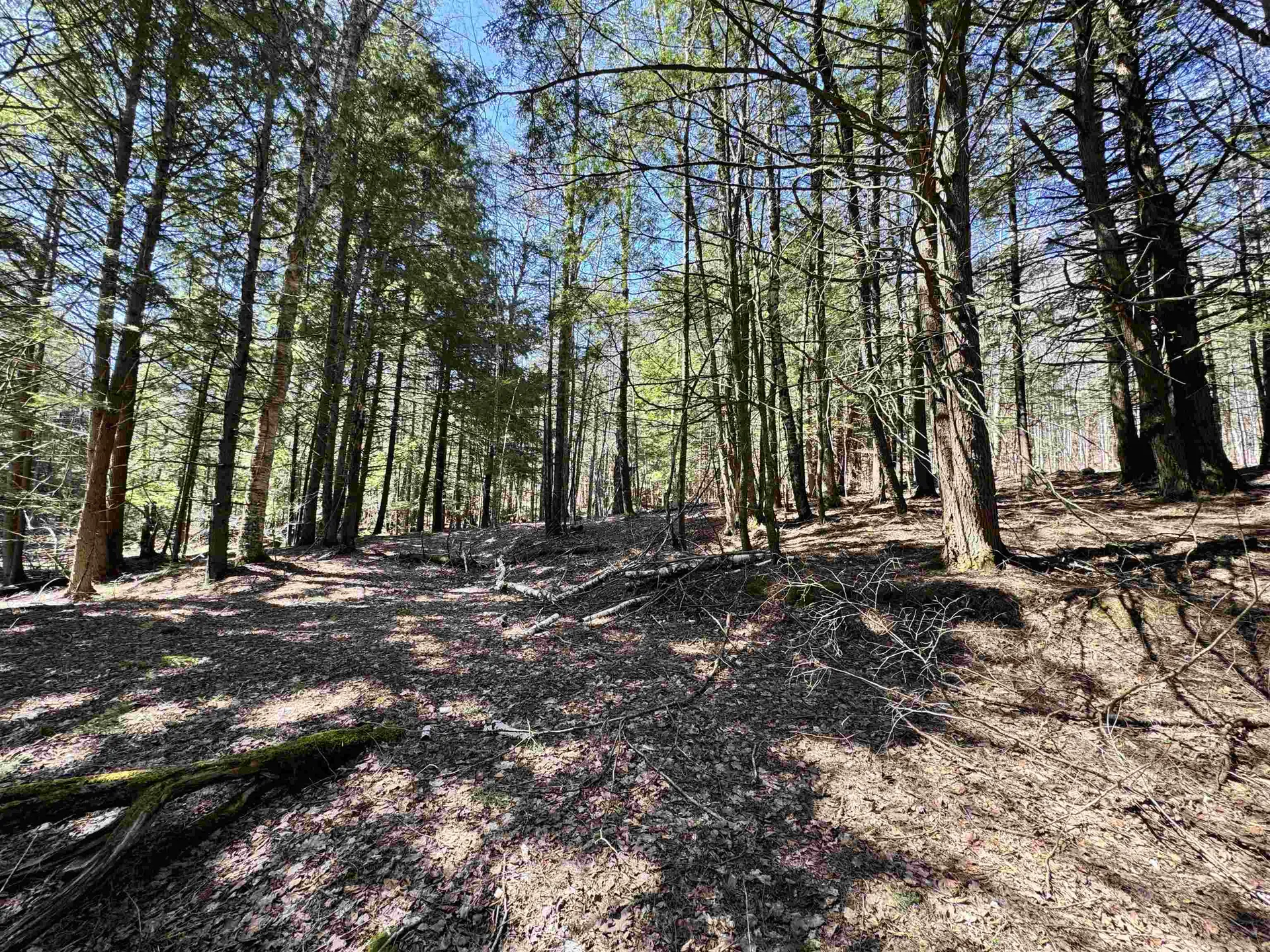 0 Braintree Hill Road Braintree VT 05060