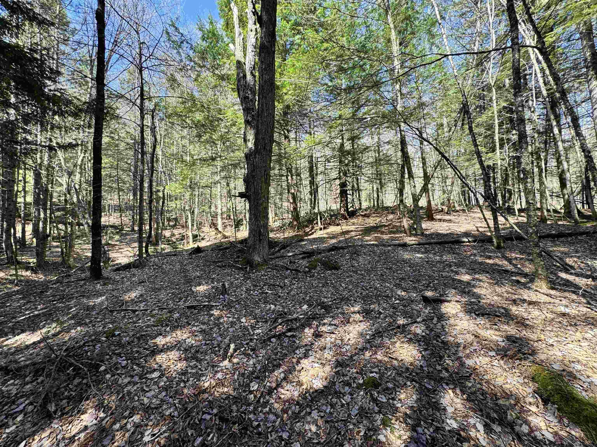 0 Braintree Hill Road Braintree VT 05060