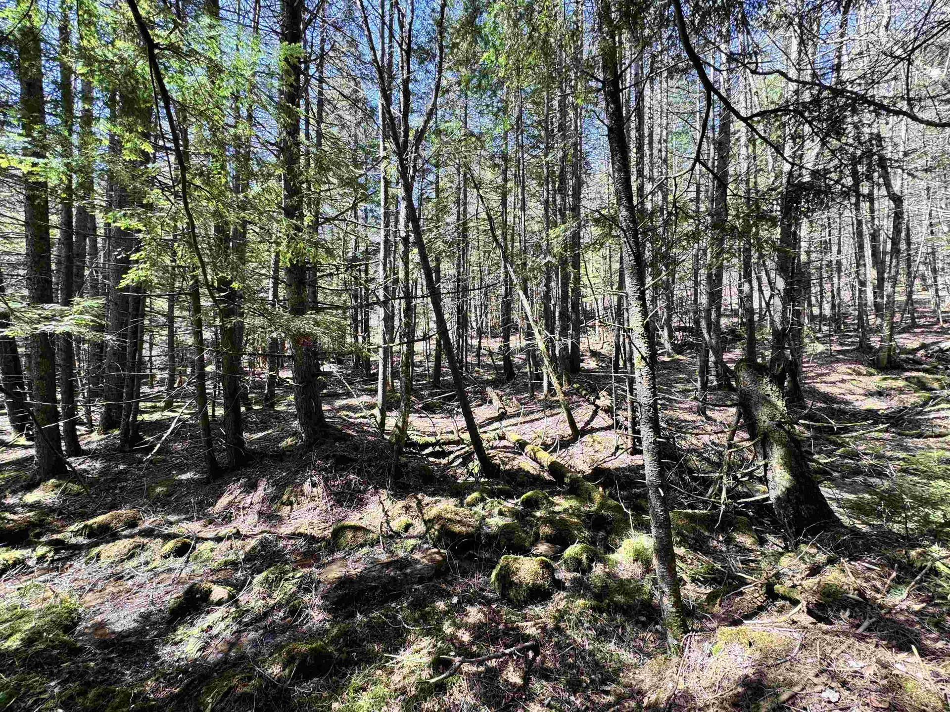 0 Braintree Hill Road Braintree VT 05060