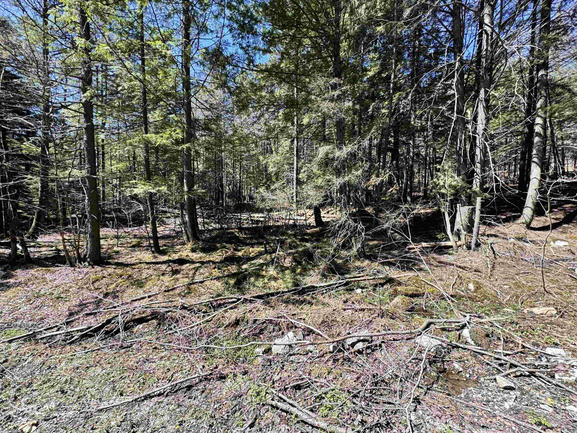 0 Braintree Hill Road Braintree VT 05060