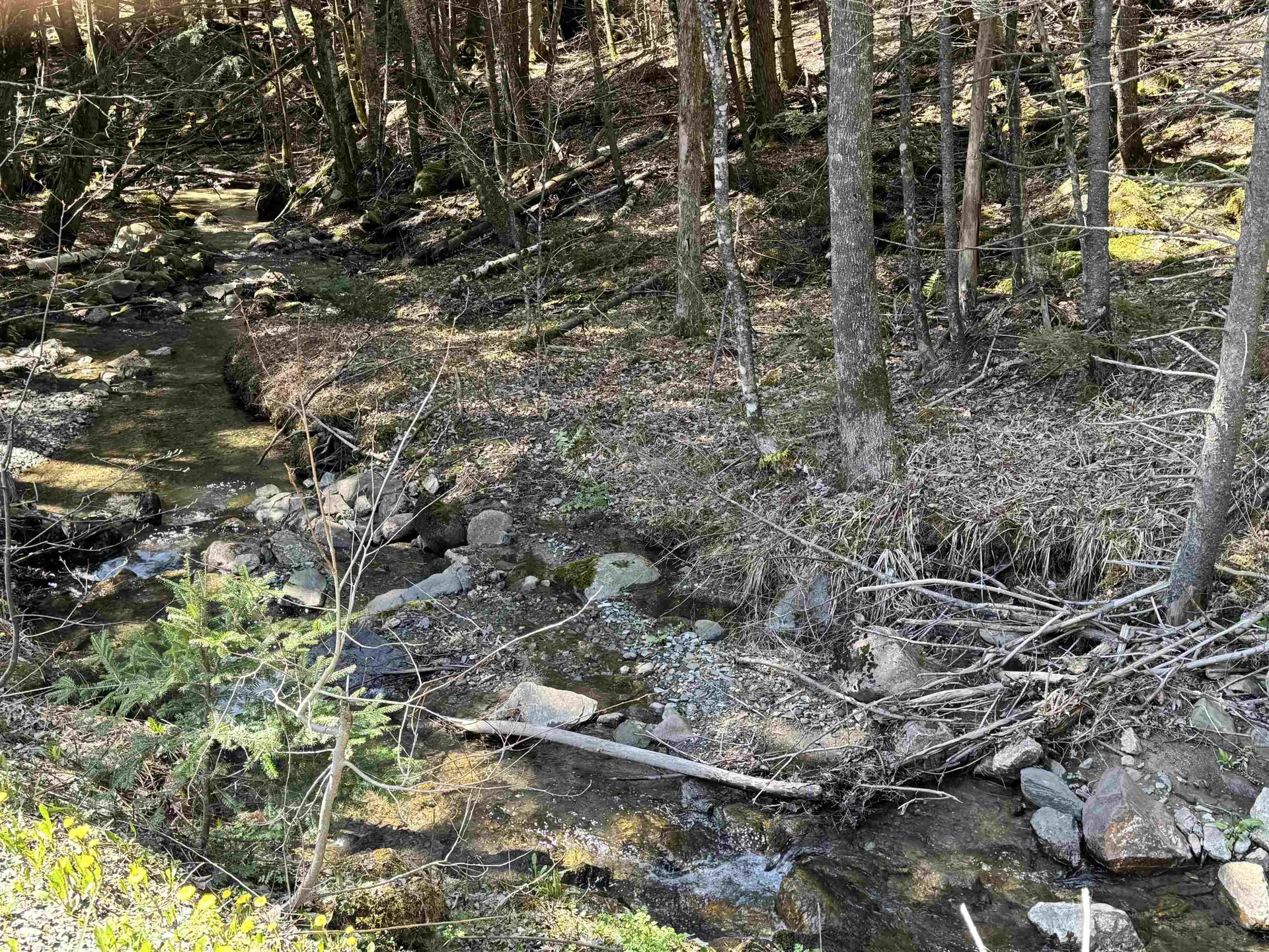 0 Braintree Hill Road Braintree VT 05060