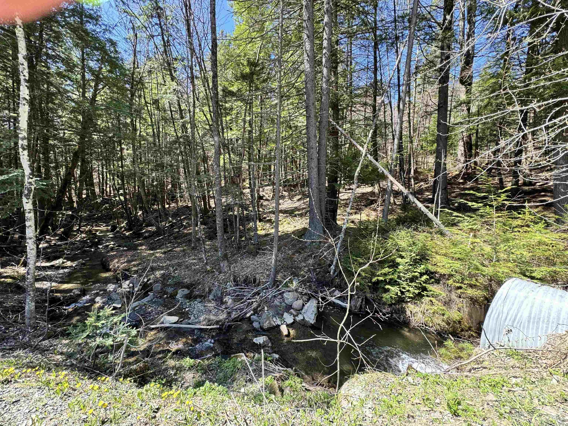 0 Braintree Hill Road Braintree VT 05060