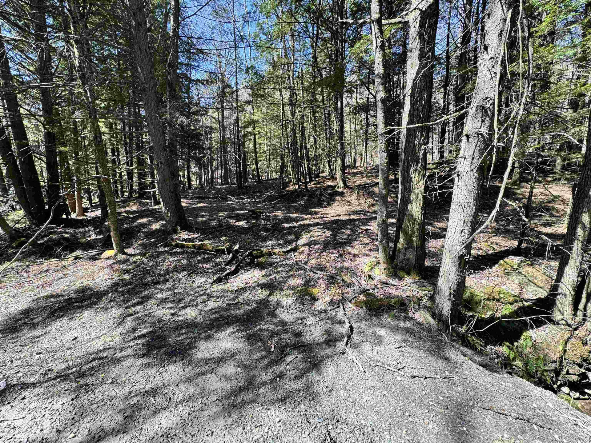 0 Braintree Hill Road Braintree VT 05060