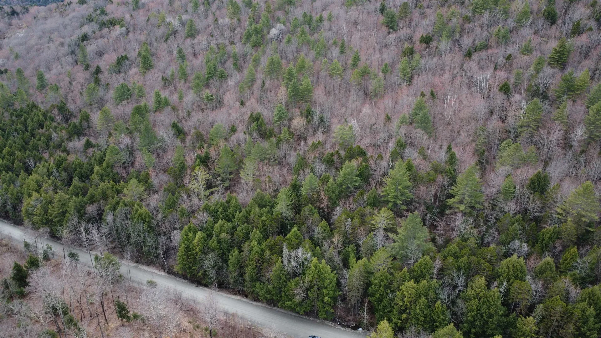 0 Braintree Hill Road Braintree VT 05060