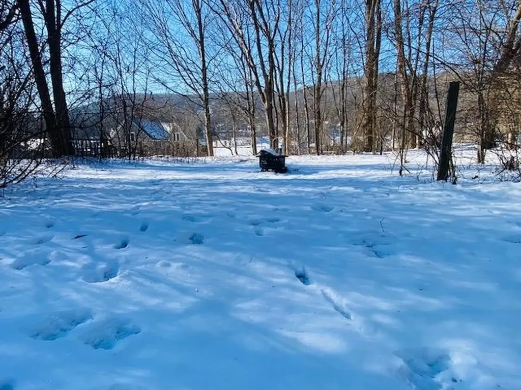 14 Cherry Hill Street Rockingham VT 05101