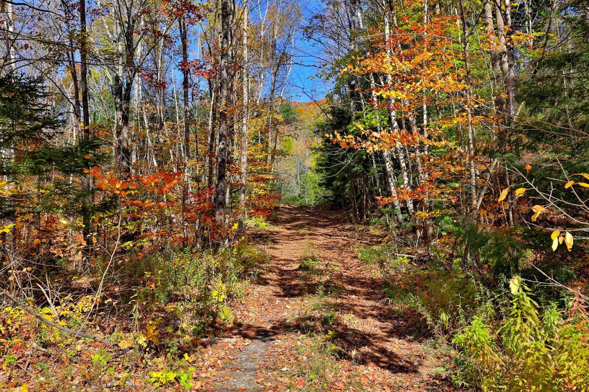 2857 River Road Killington VT 05751