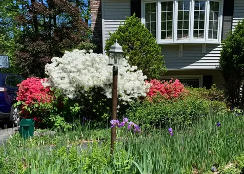 56 Whippoorwill Lane Bedford NH 03110