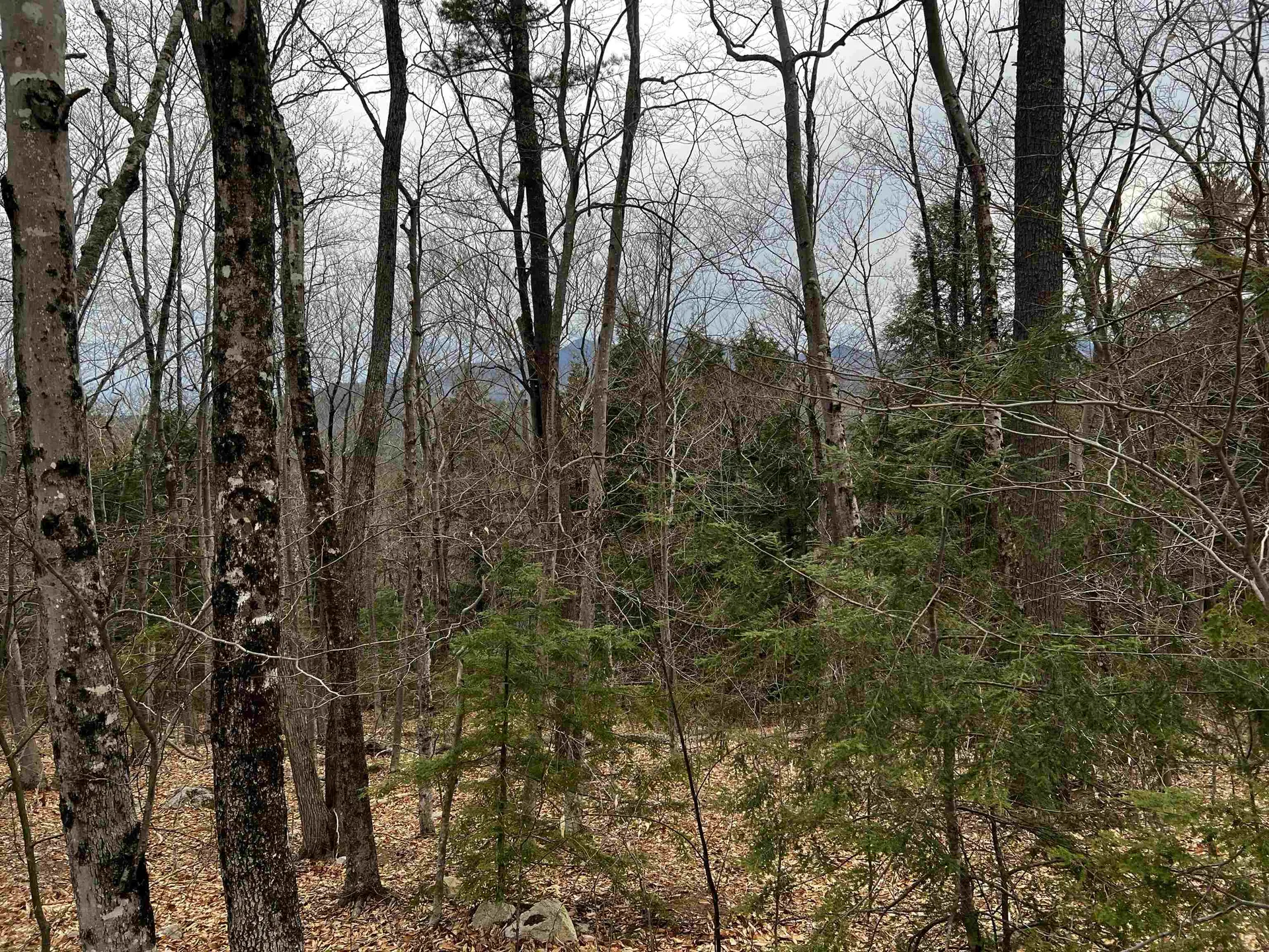 40 Aspen Drive Madison NH 03849