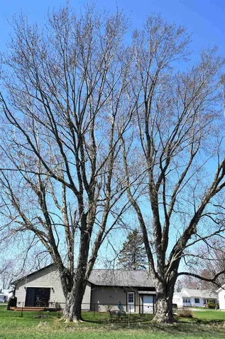 915 Lower Foote Street Middlebury VT 05753