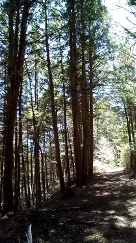 958 Vermont Route 14 Woodbury VT 05681