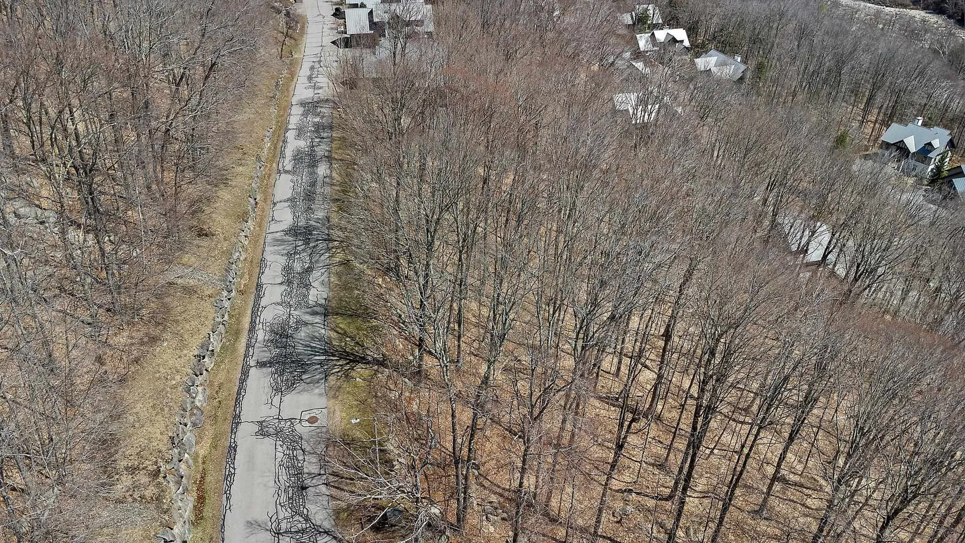 89 Flume Road Lincoln NH 03251