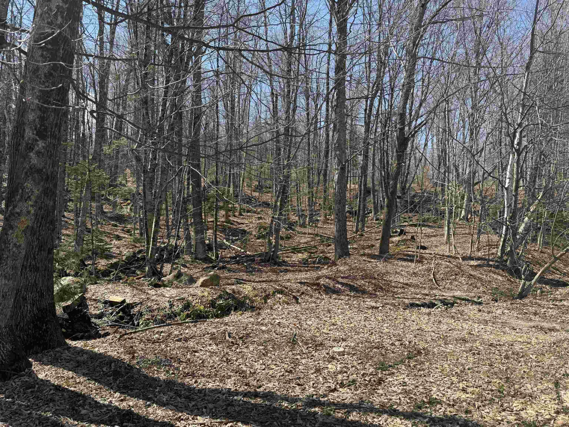 501 Gates Road Andover VT 05143