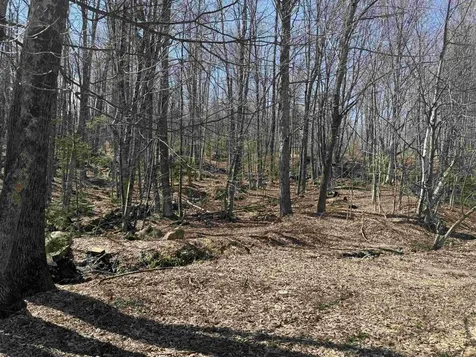 501 Gates Road Andover VT 05143