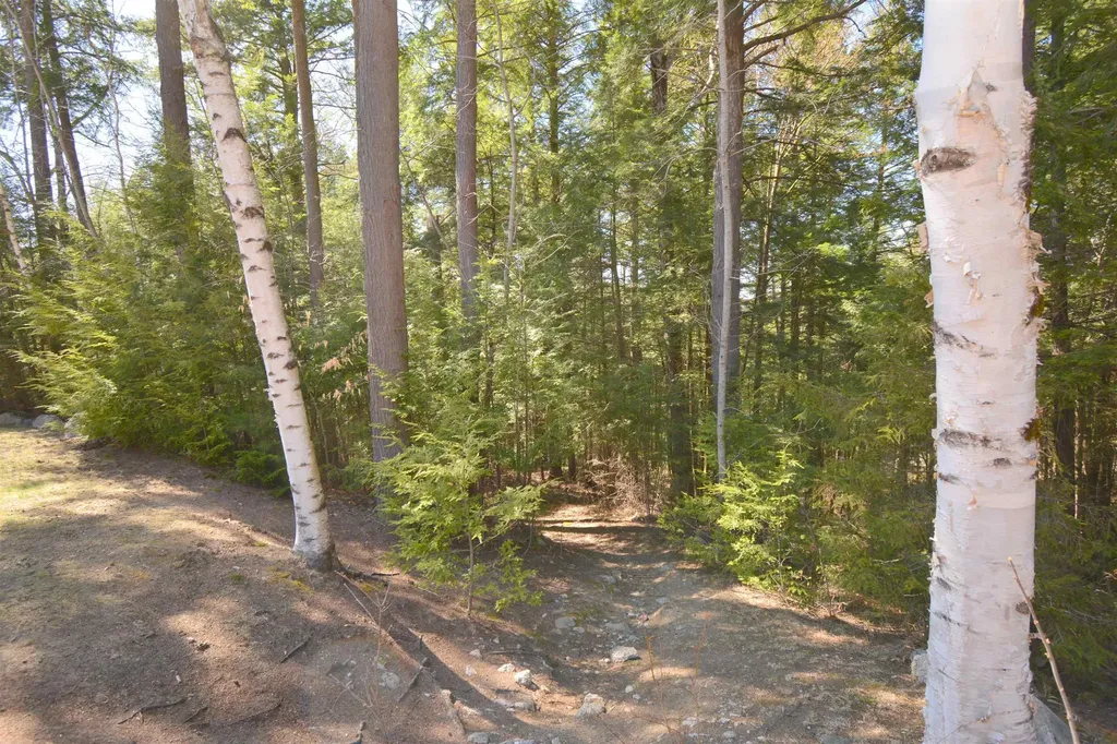 24 Barn Owl Overlook Grantham NH 03753