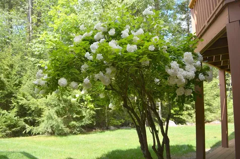 24 Barn Owl Overlook Grantham NH 03753