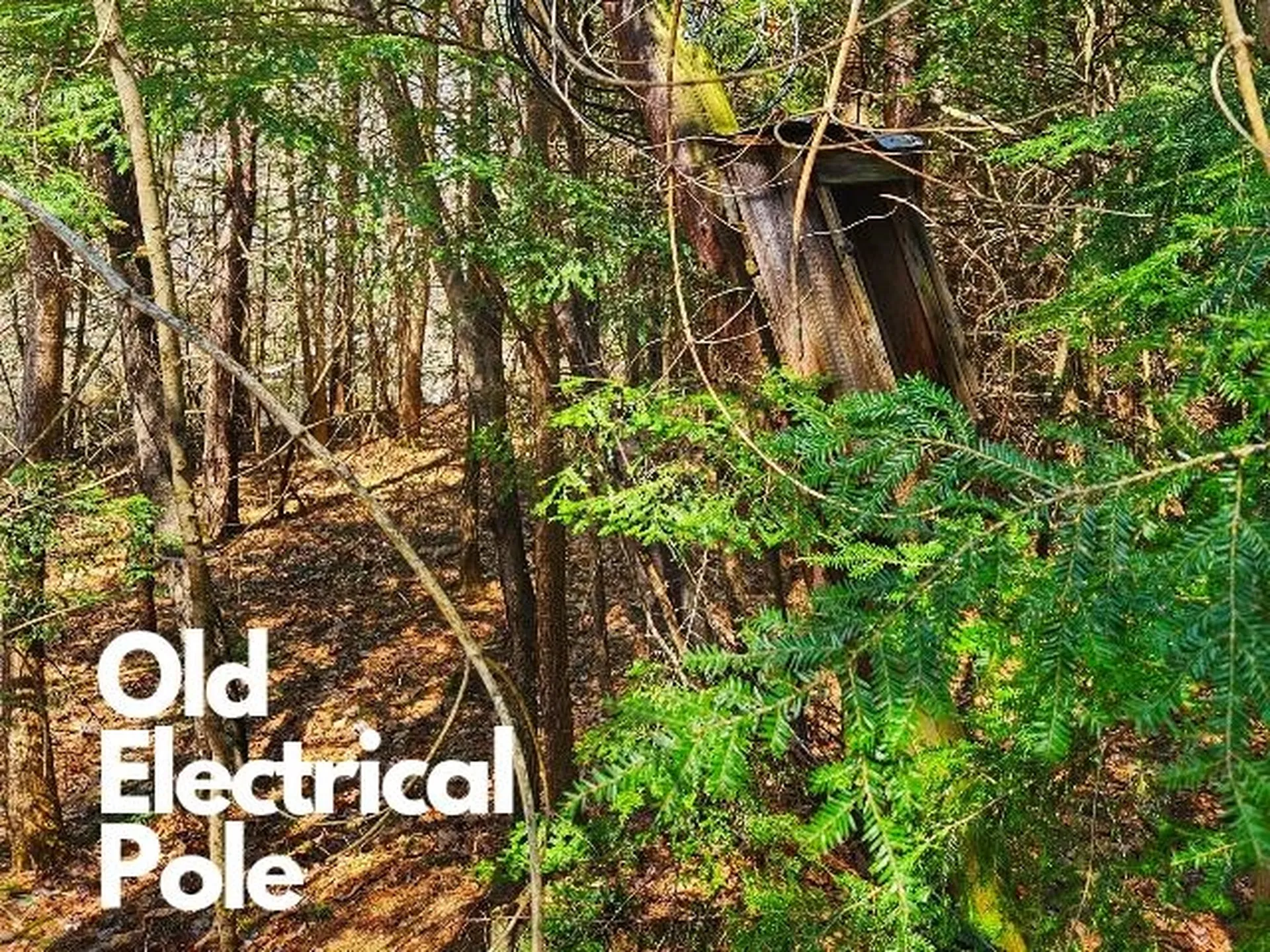 397 Shackford Corner Road Barnstead NH 03225